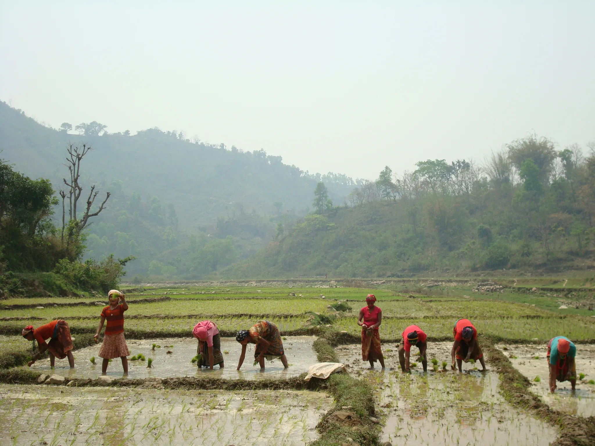 SADP Nepal photo 36