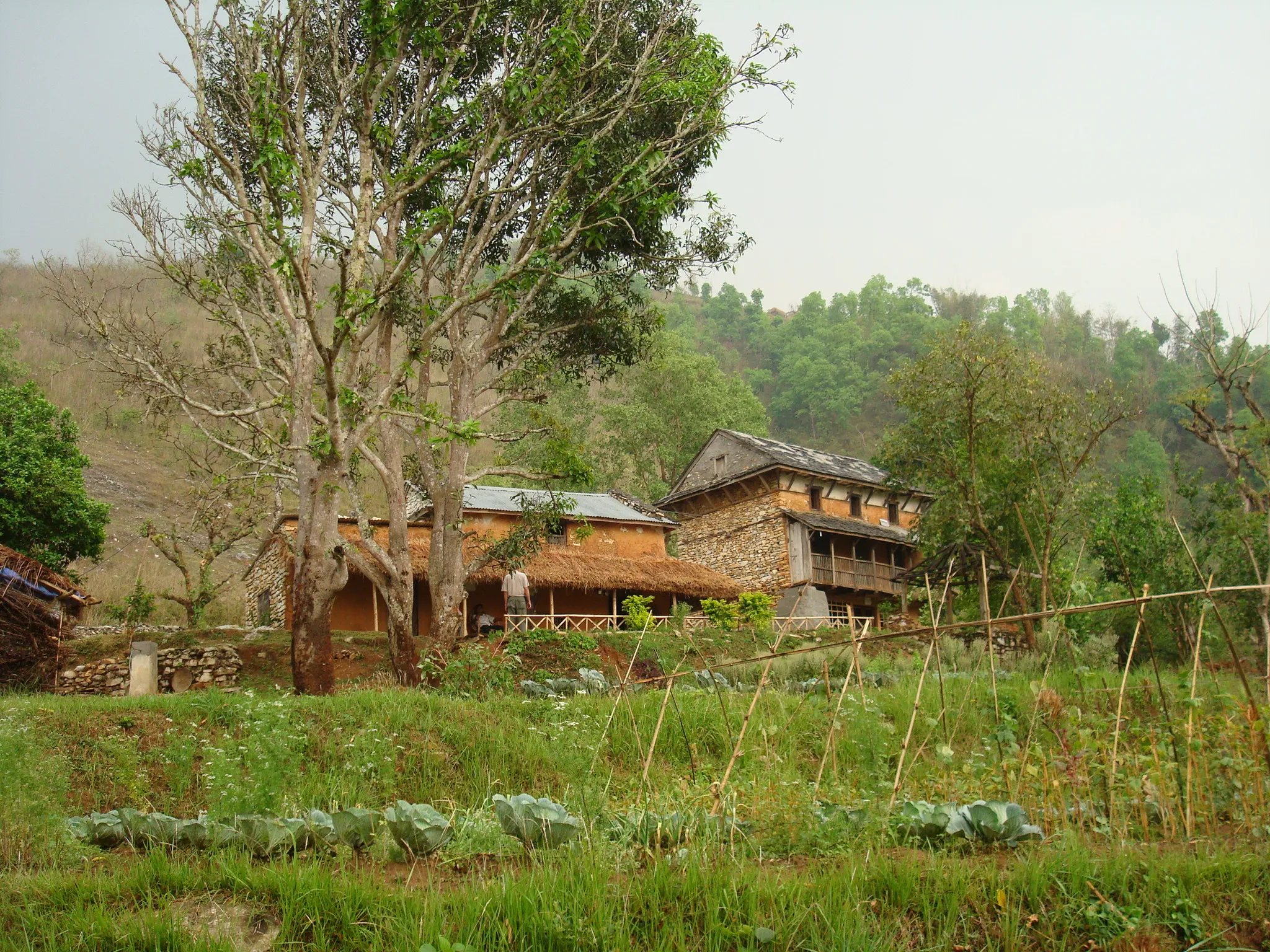 SADP Nepal photo 14