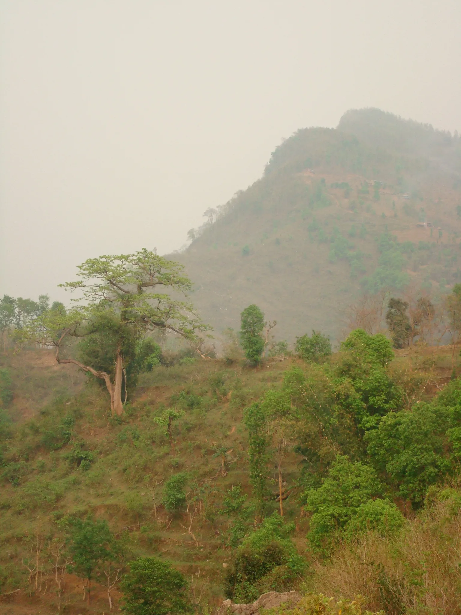 SADP Nepal photo 87