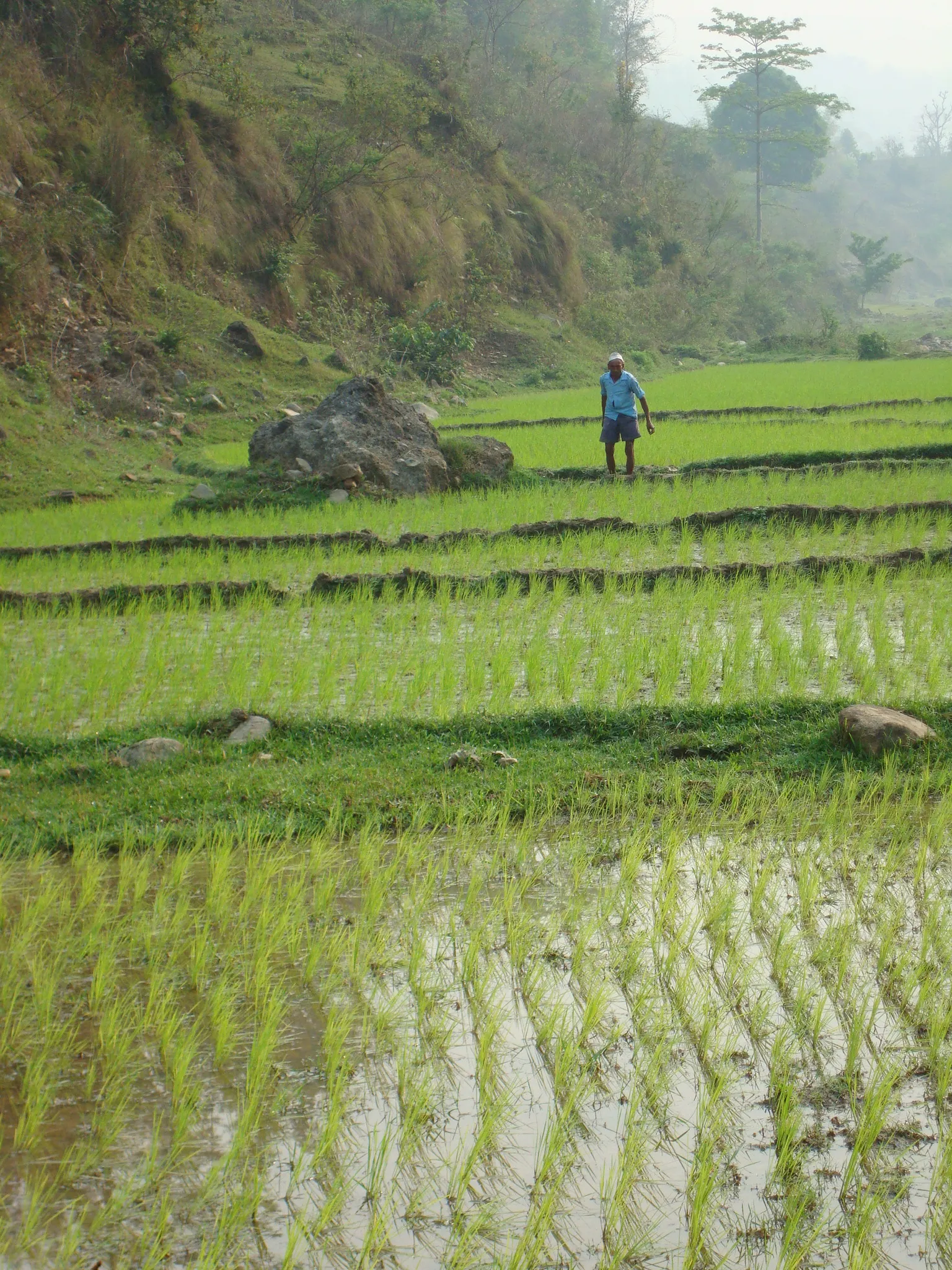 SADP Nepal photo 38
