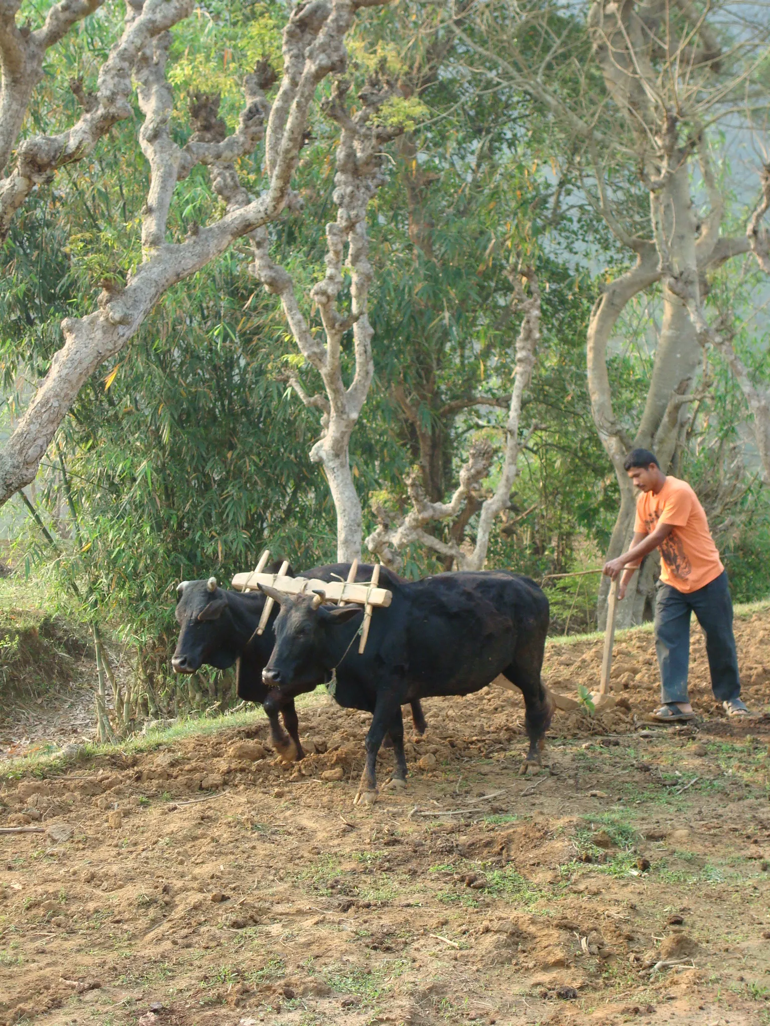 SADP Nepal photo 39