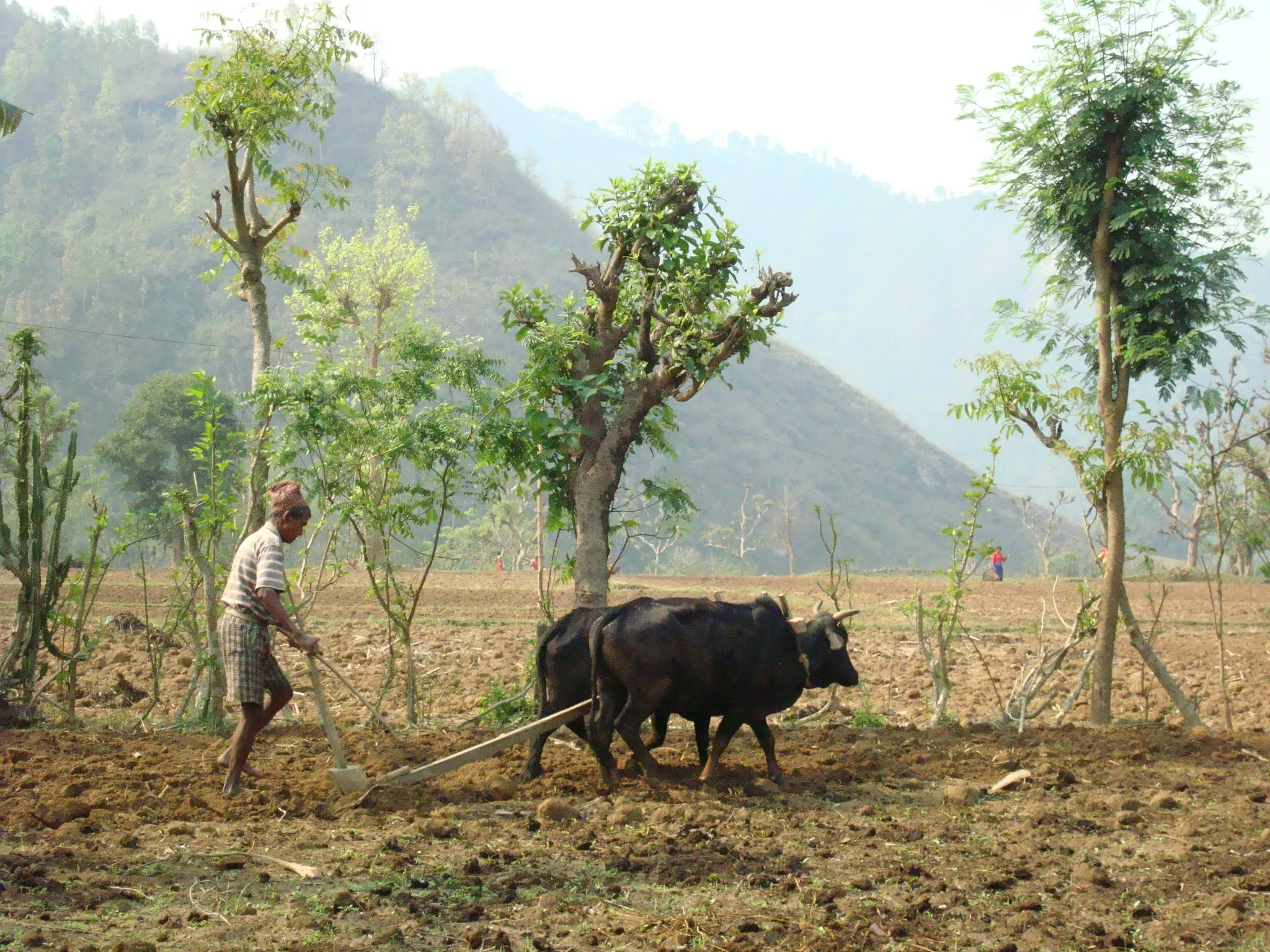 SADP Nepal photo 40