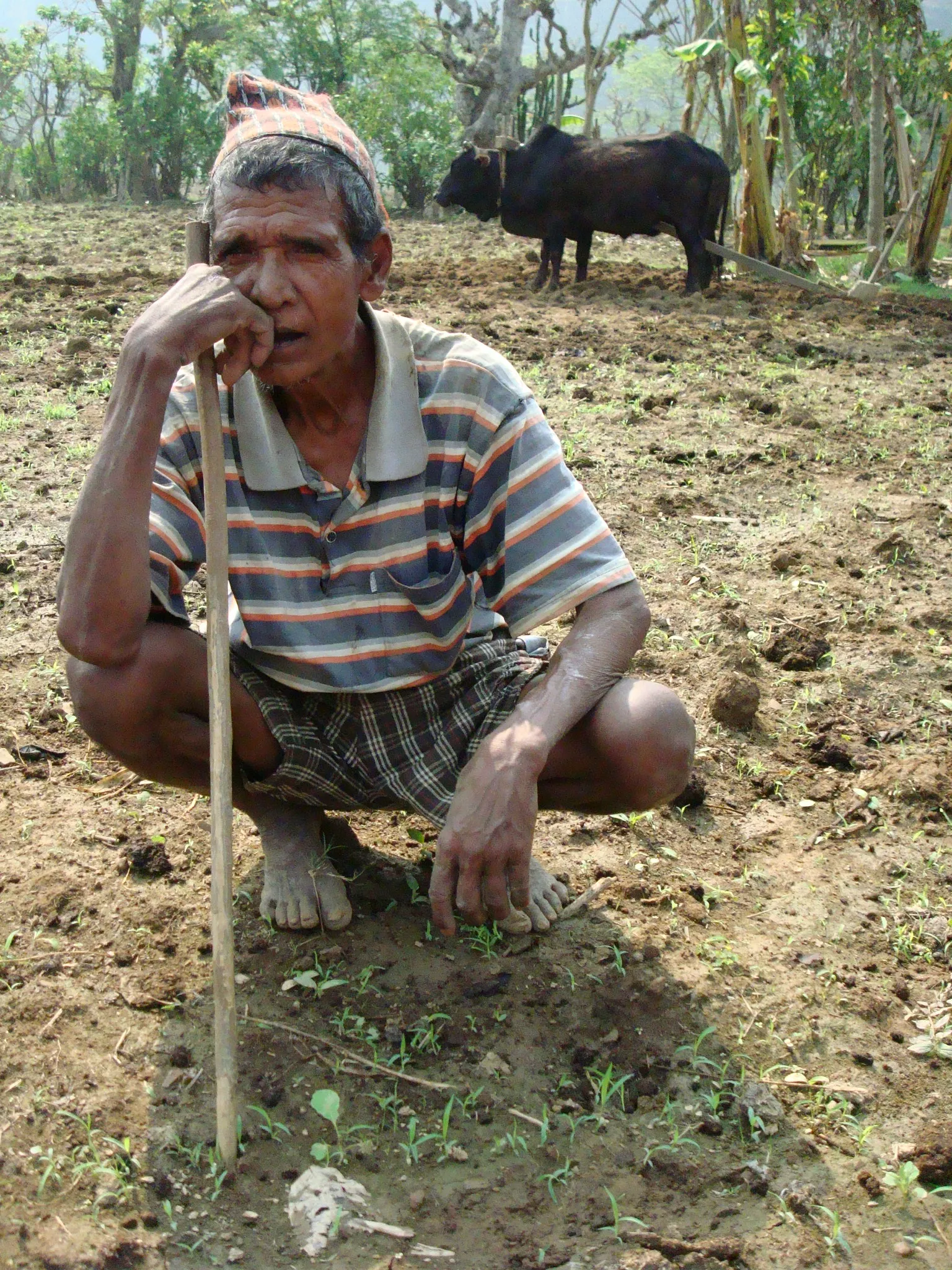 SADP Nepal photo 41