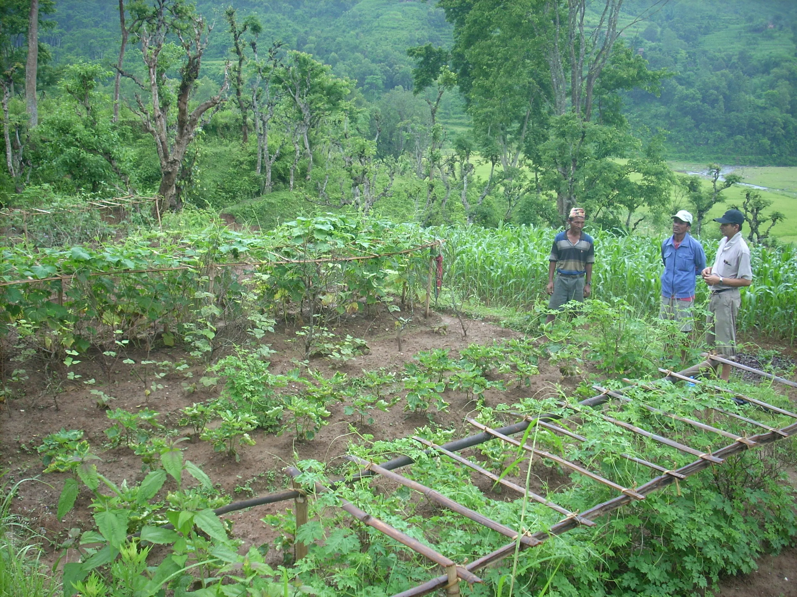 SADP Nepal photo 44