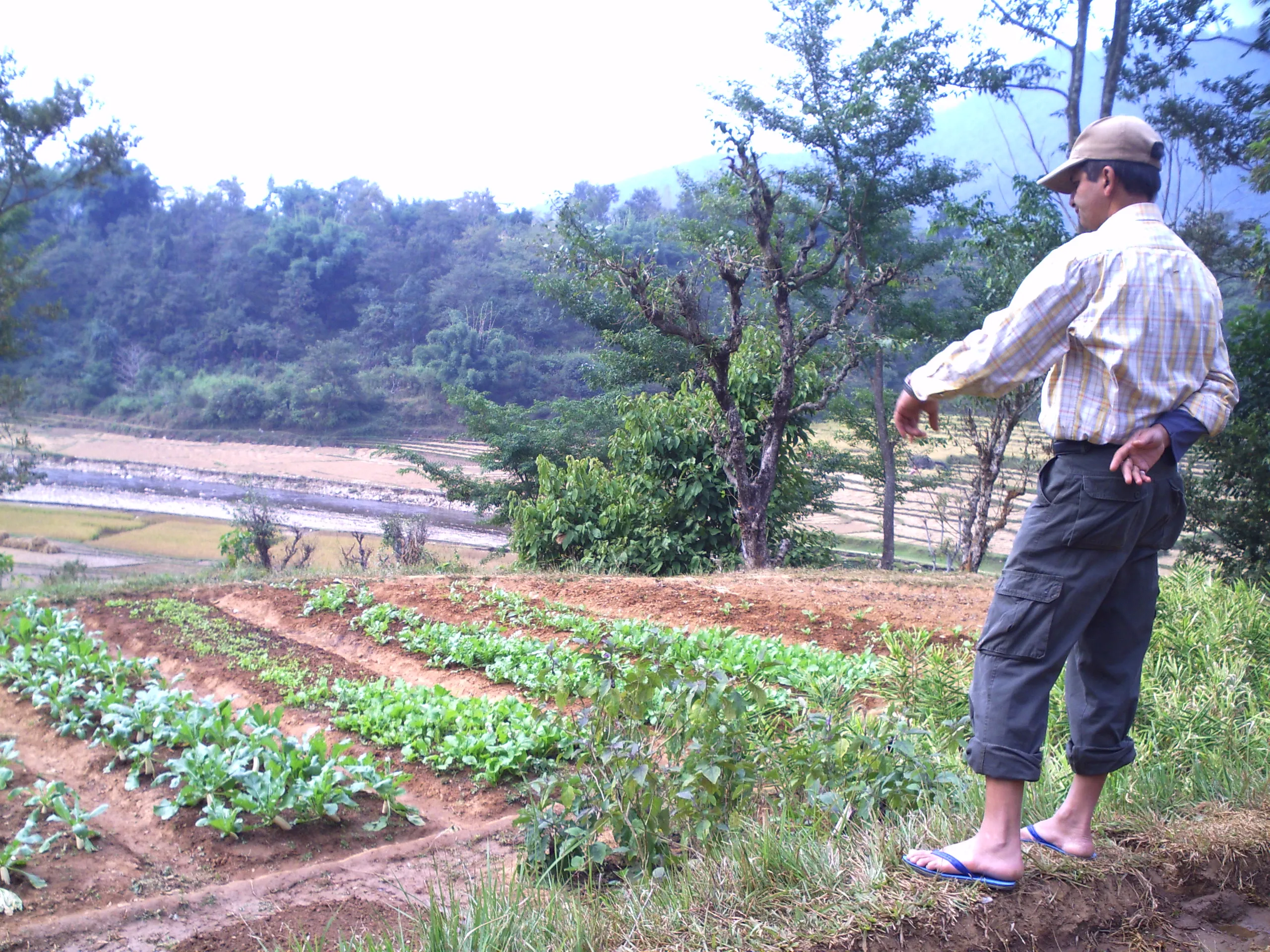 SADP Nepal photo 48