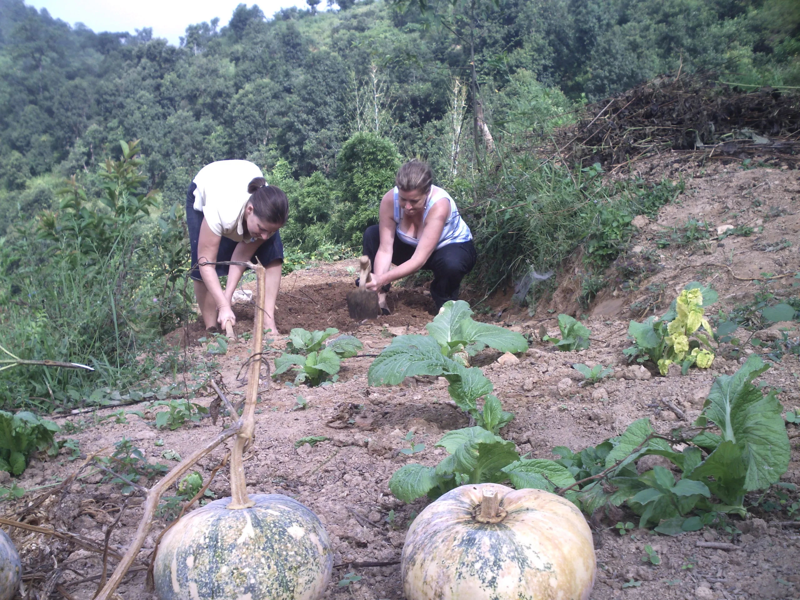 SADP Nepal photo 64