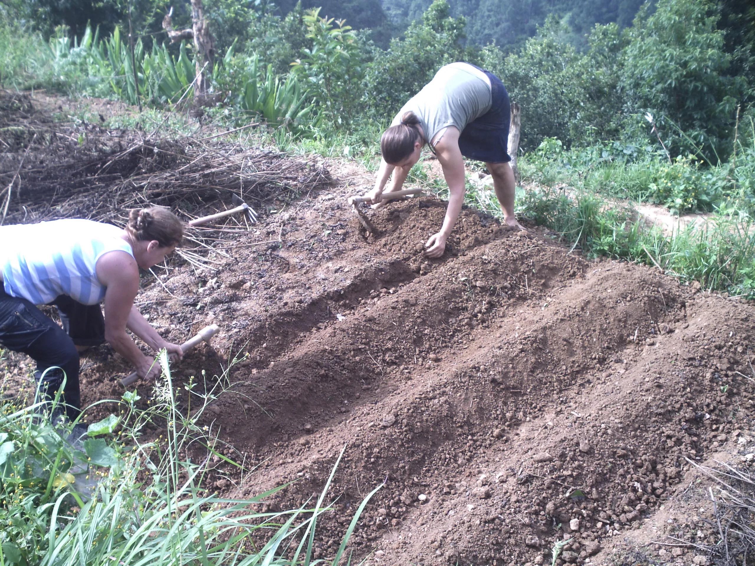 SADP Nepal photo 65