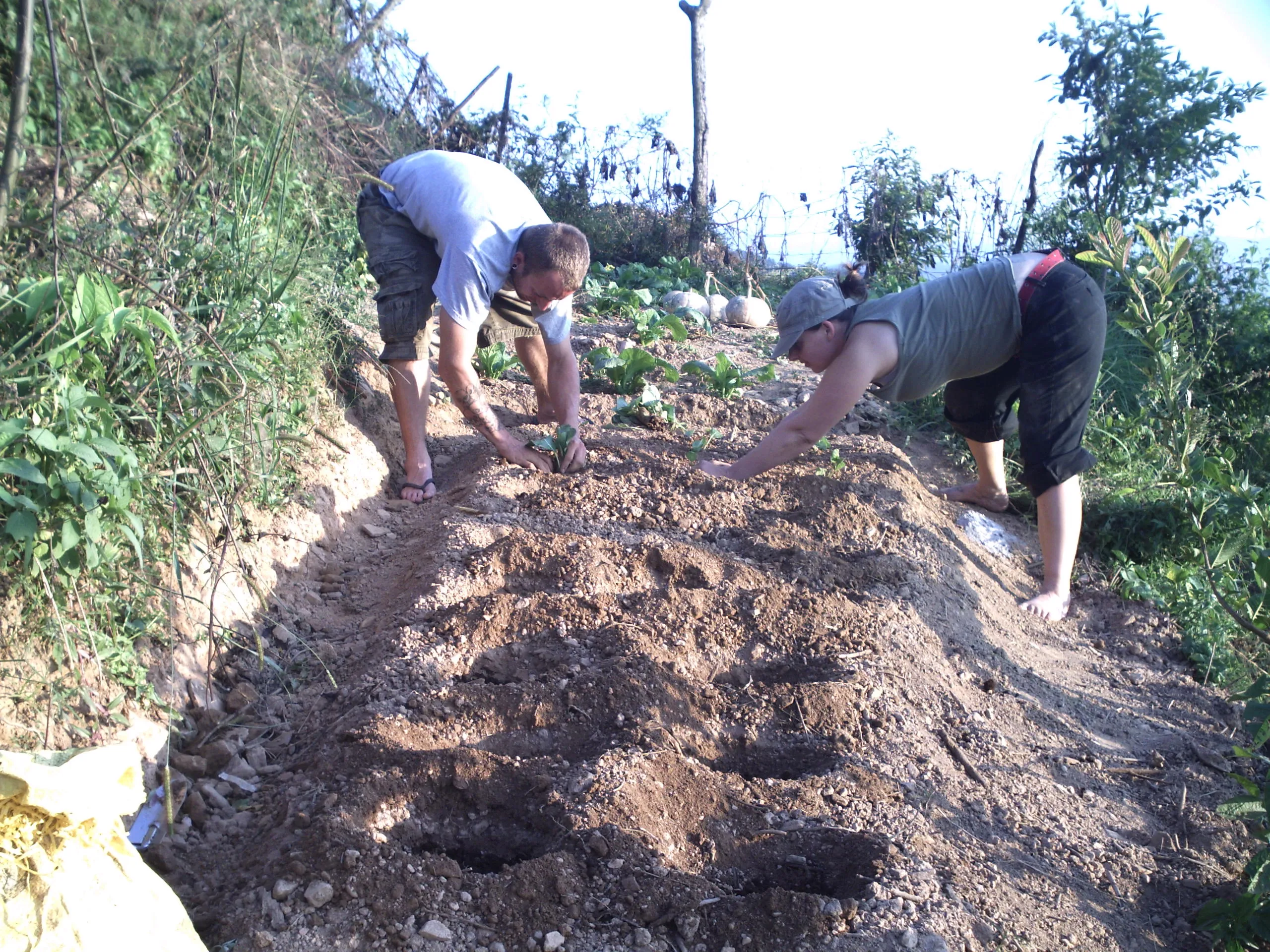 SADP Nepal photo 66