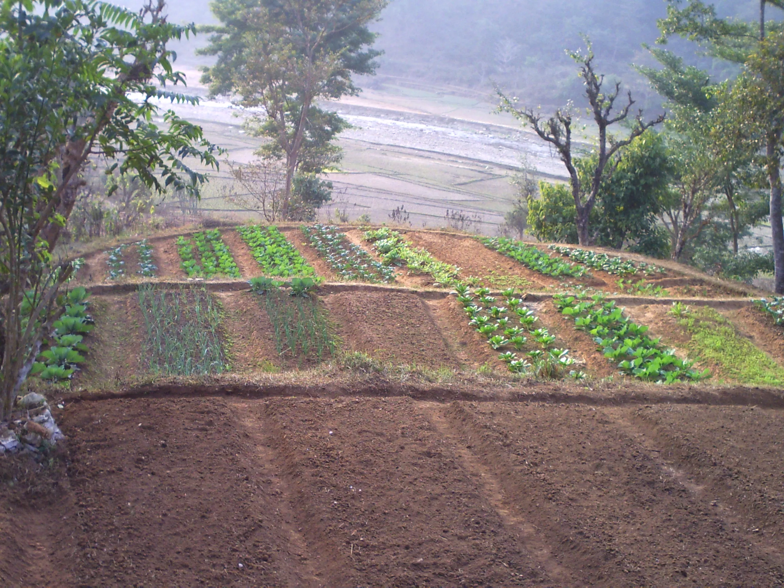SADP Nepal photo 55