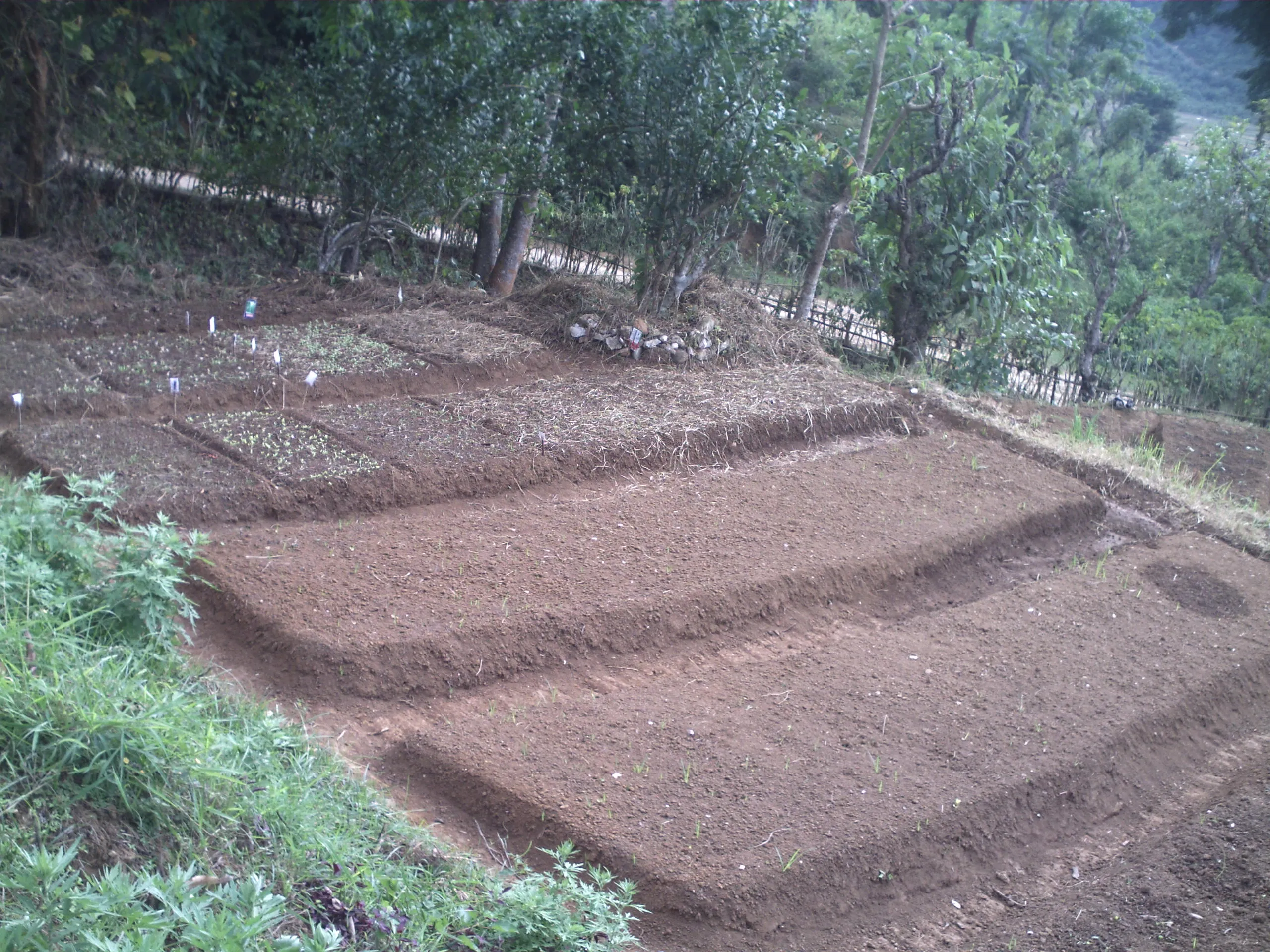 SADP Nepal photo 62