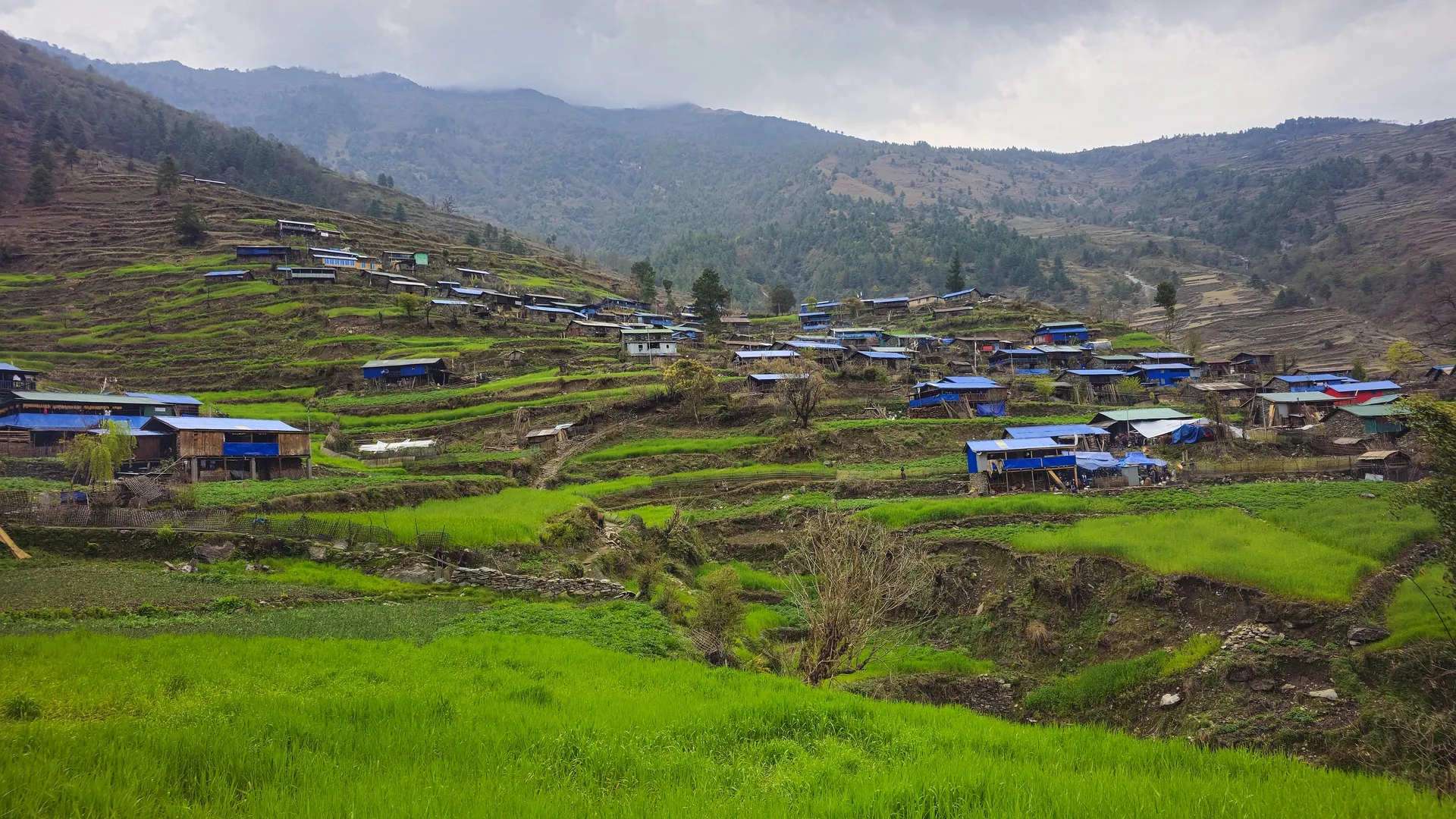 SADP Nepal photo 69